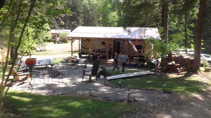 Campers and cabins among tall pines